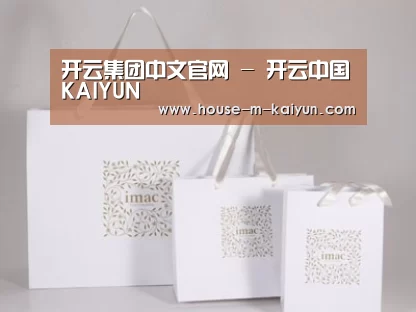 项目名称十一