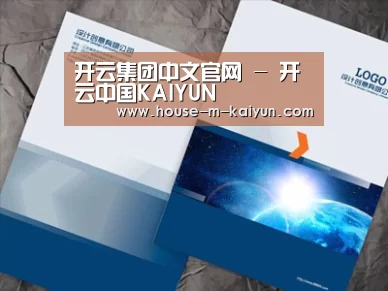 项目名称十