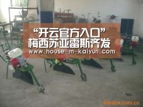 开云官方入口