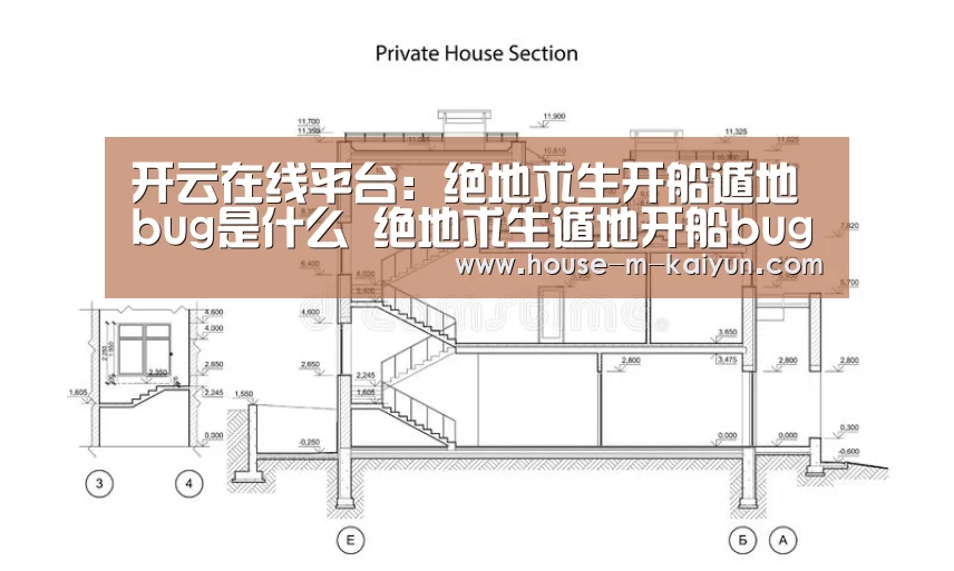开云网页版