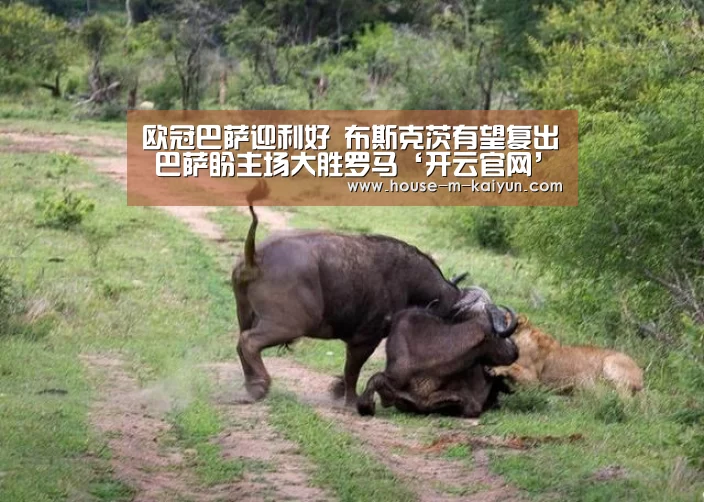 开云网页版