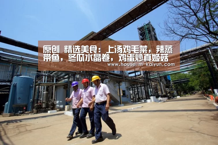 原创 精选美食:上汤鸡毛菜,辣蒸带鱼,冬瓜水晶卷,鸡蛋炒真姬菇的做法|开云网页版(图1) 开云官方入口